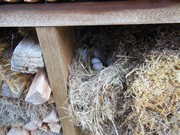 Zahrádka ve školce